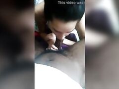 My babygirl sucking my nuts dry before she gets locked up