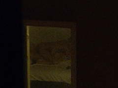 My neighbor having one night stand window voyeur