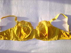 My 65 bras ( as of 16-11-2019 )