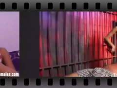 Everyone should see how pathetic you are