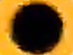 Tik Tok Wipe it down Doggy